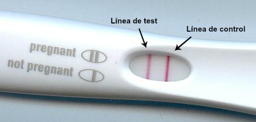 Interpretar test de embarazo